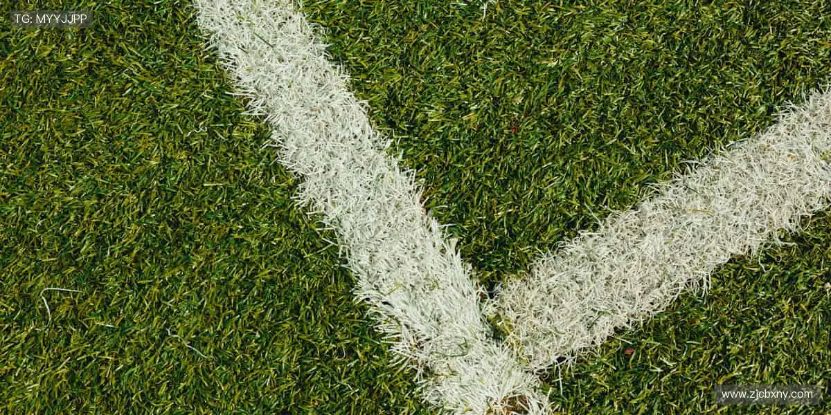 用热爱定义装备，让每一次挥汗都充满仪式感！🎯💪